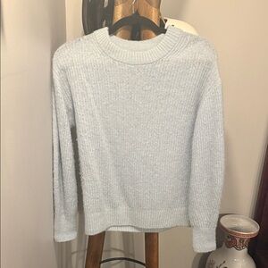 Everlane Blue Sweater